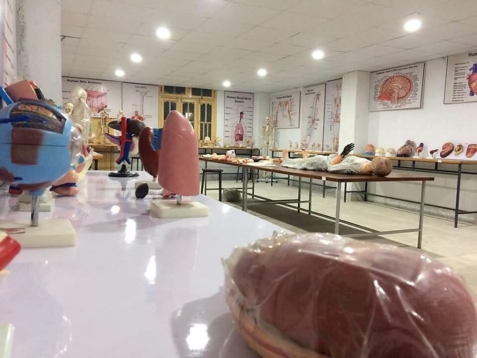 Anatomy museum models